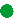 Puce verte