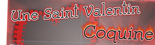 Une Saint Valentin Coquine