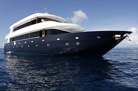 le bateau Manta Cruise