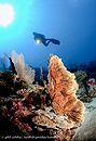 le Grand Sud