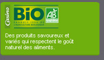 Casino Bio
