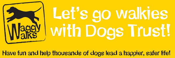 Let's go walkies with Dogs trust
