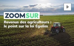 Revenus des agriculteurs : le point sur la loi Égalim - VIDÉO - Nouvelle fenêtre