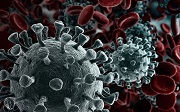 Coronavirus : les réponses à la crise sanitaire - Nouvelle fenêtre