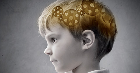 Le cerveau se développe-t-il <br>toute la vie ?