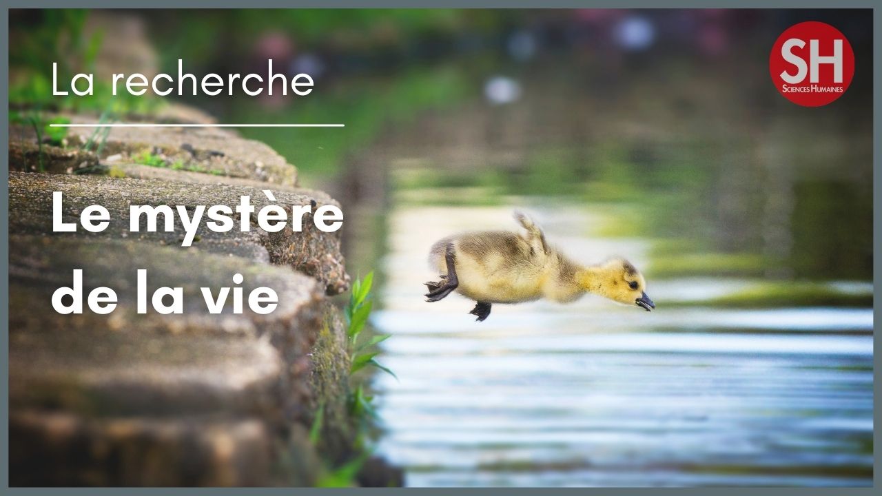 Comment dÃ©finir la vie ?