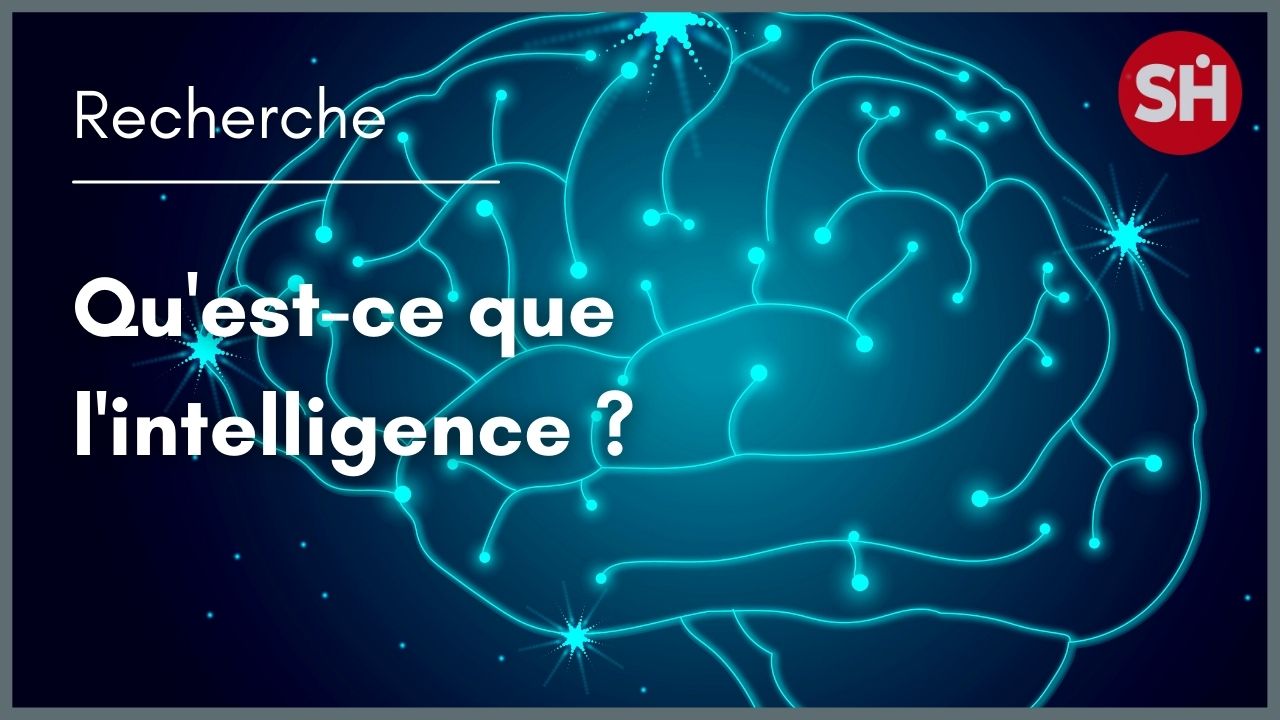 Qu'est-ce que l'intelligence ?