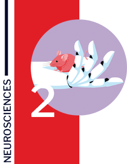 Illustration article
