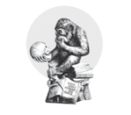 Illustration Sciences Humaines