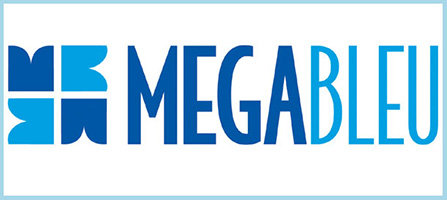 MEGA BLEU